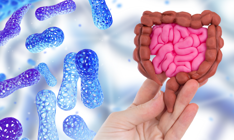 Microbiota intestinal: tu defensa silenciosa contra la inflamación, el metabolismo alterado y la enfermedad